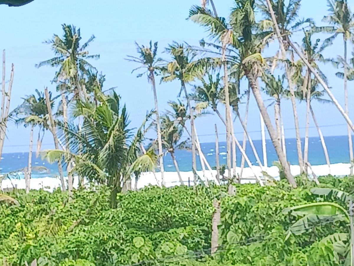 Weeroona Huts Homestay Pacifico San Isidro  Exteriér fotografie