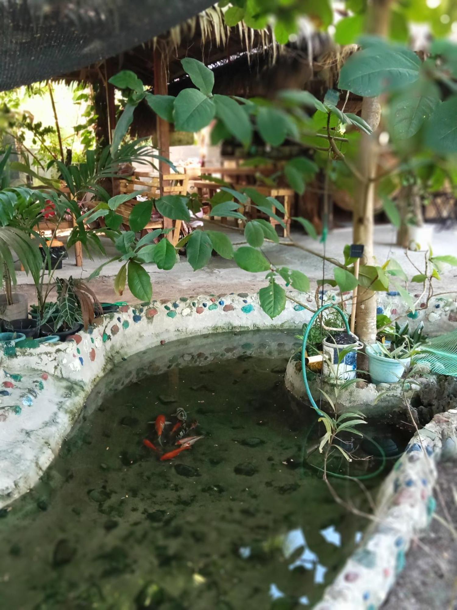 Weeroona Huts Homestay Pacifico San Isidro  Exteriér fotografie